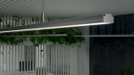 Lumines profile type Sileda lacquered white, 2,02 m